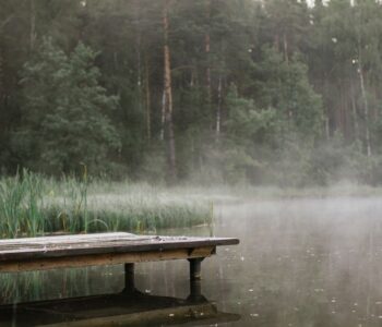 A calm misty lake evoking gentle trauma therapy, comparing Brainspotting and EMDR