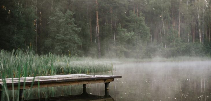 A calm misty lake evoking gentle trauma therapy, comparing Brainspotting and EMDR